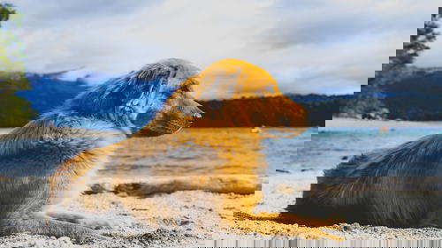 A dog is sitting on the sand.