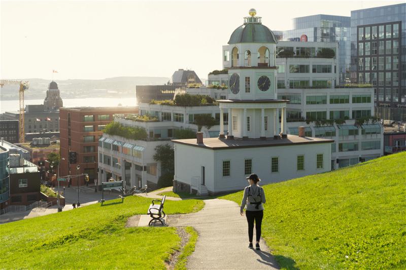 A person walking down a grassy hill in front of the city of Halifax, Canada.