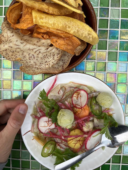 A person in Halifax, Canada is holding a plate of food.