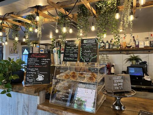 A coffee shop in Halifax with plants hanging from the ceiling.