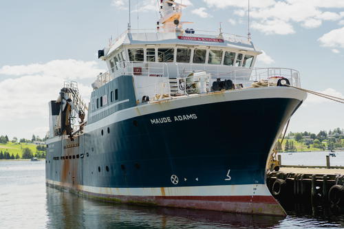 A large blue and white boat docked at a dock