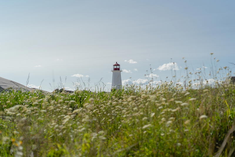 A light house in the middle of a field of tall grass