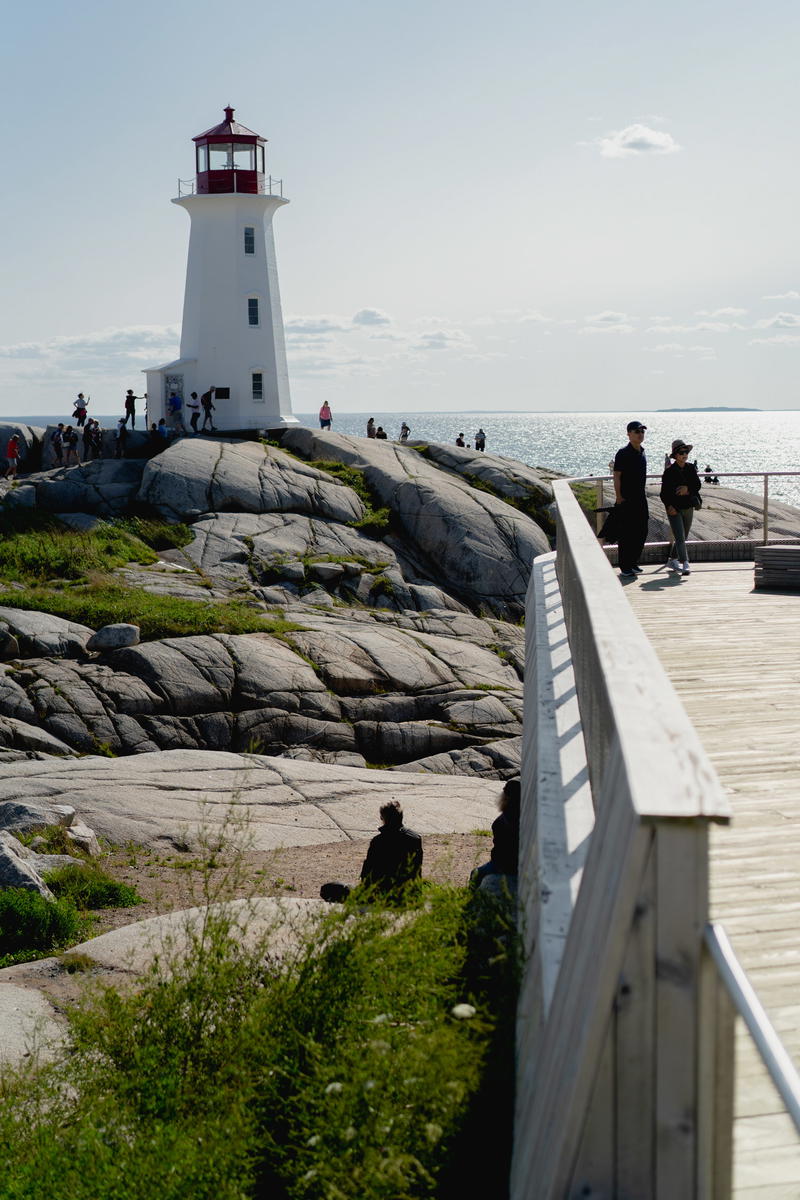A group of people sitting on top of a wooden walkway