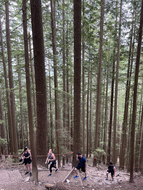 A group of people walking in the woods