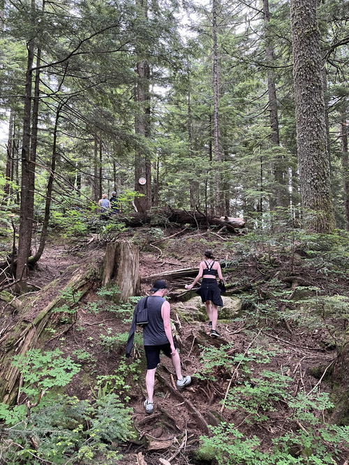 A couple of people that are walking in the woods