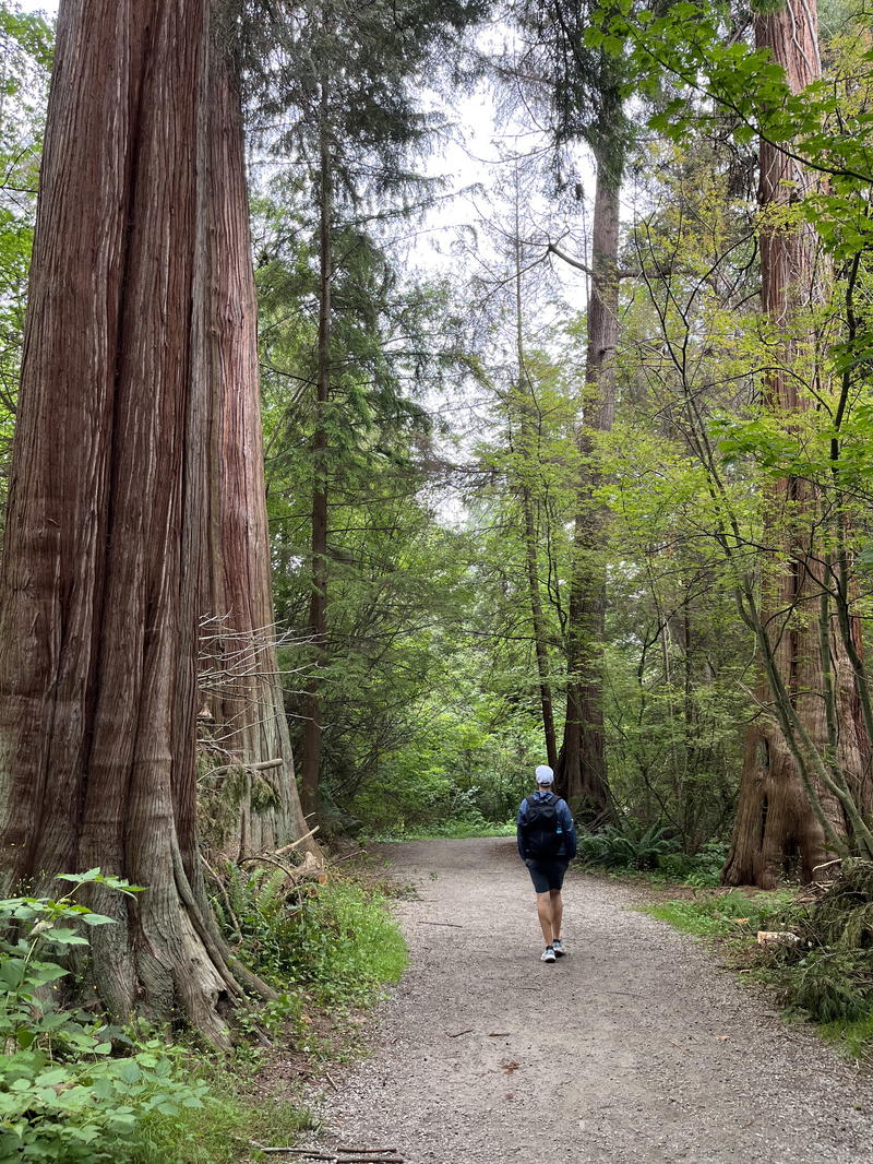 A person running down a trail in a forest
