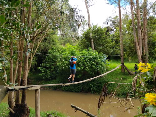 A man is crossing a rope bridge over a river.