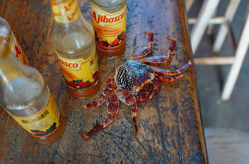A crab on a table surrounded by hot sauce.