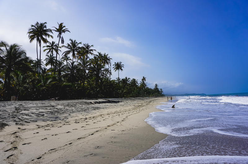 Beach with long waves and palm trees in Colombia