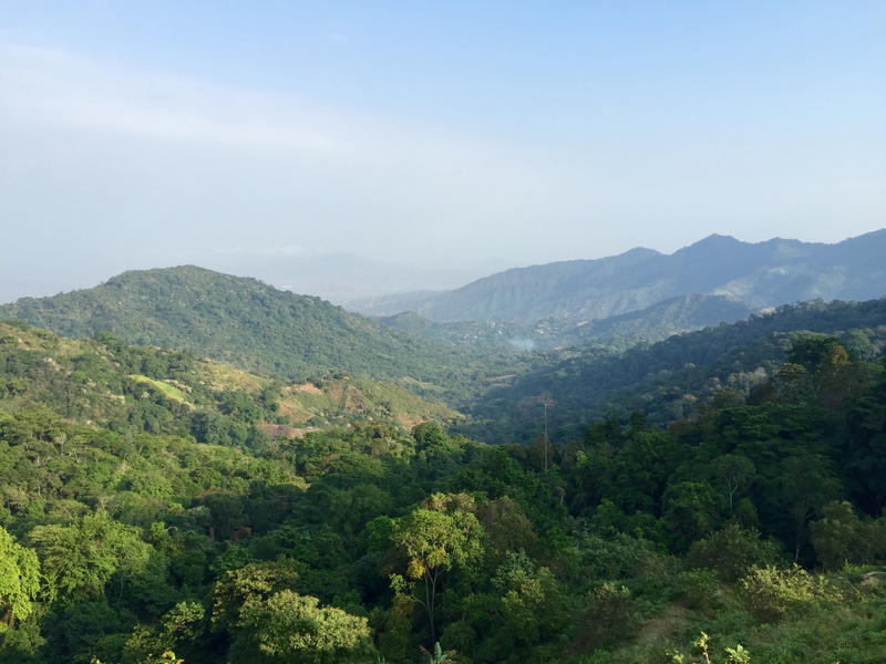 A view of a lush green valley with mountains in the background.