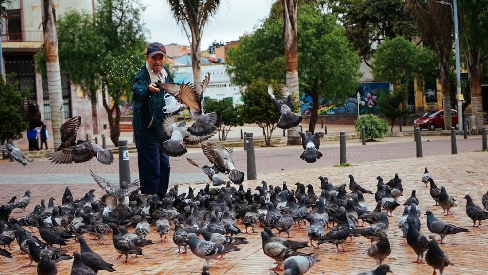 A man feeding pigeons on a sidewalk.