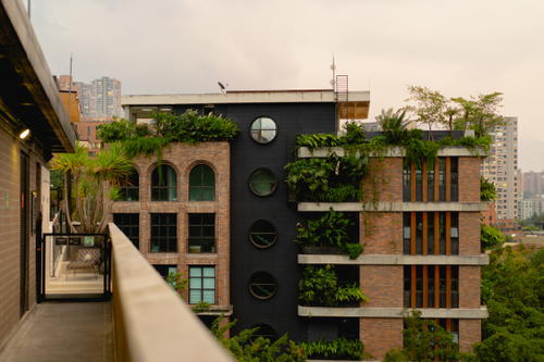 A building with a lot of plants growing on it