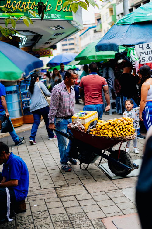 A man pushing a wheelbarrow filled with bananas