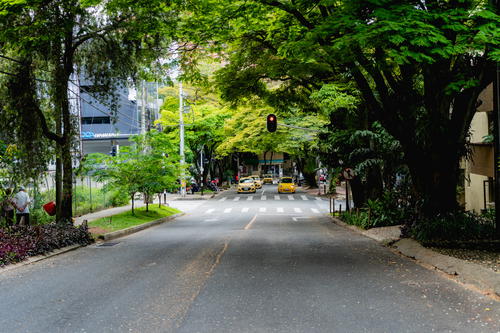 A street lined with trees and a traffic light