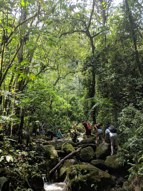 medellin culture trip