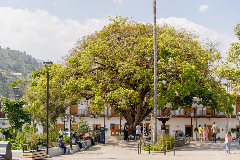 A group of people sitting on a bench under a tree