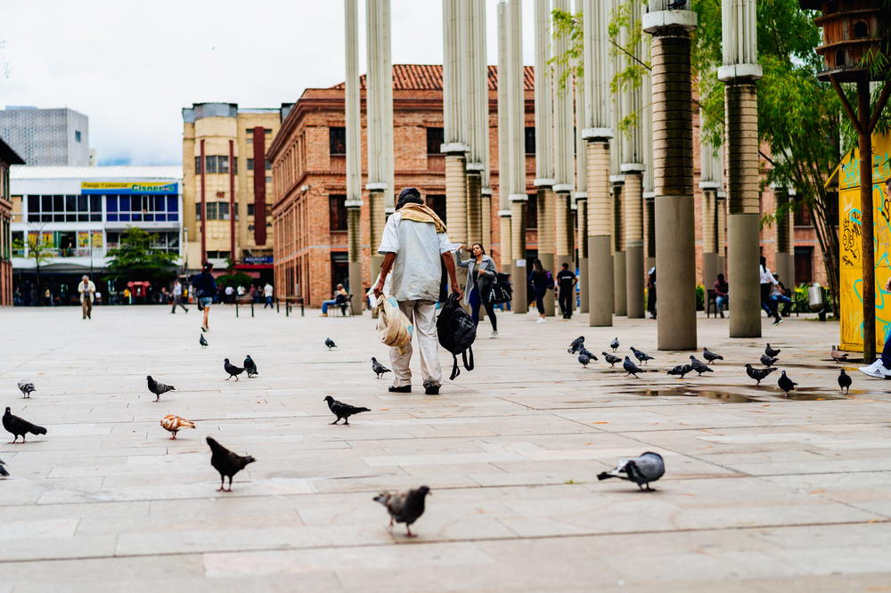 A group of pigeons on a sidewalk.