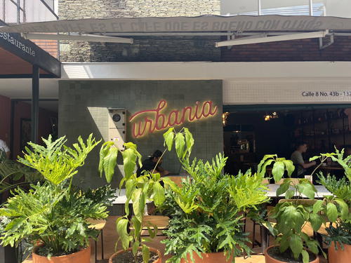 a restaurant with potted plants in front of it