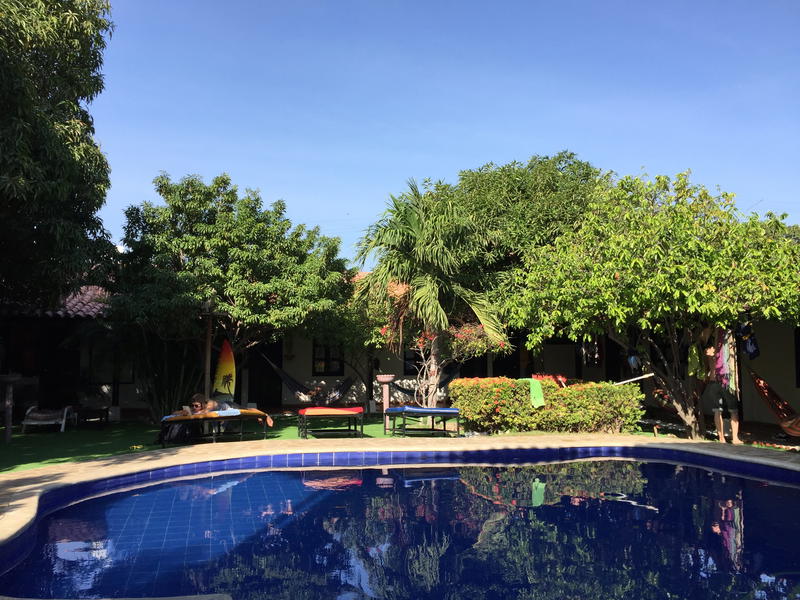 A swimming pool surrounded by trees and bushes.