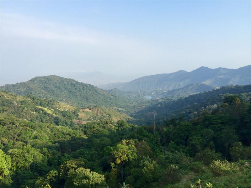 A view of a lush green valley with mountains in the background.