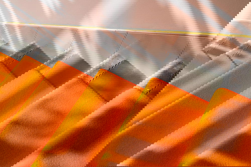 Orange carpeted steps in MeetMe23