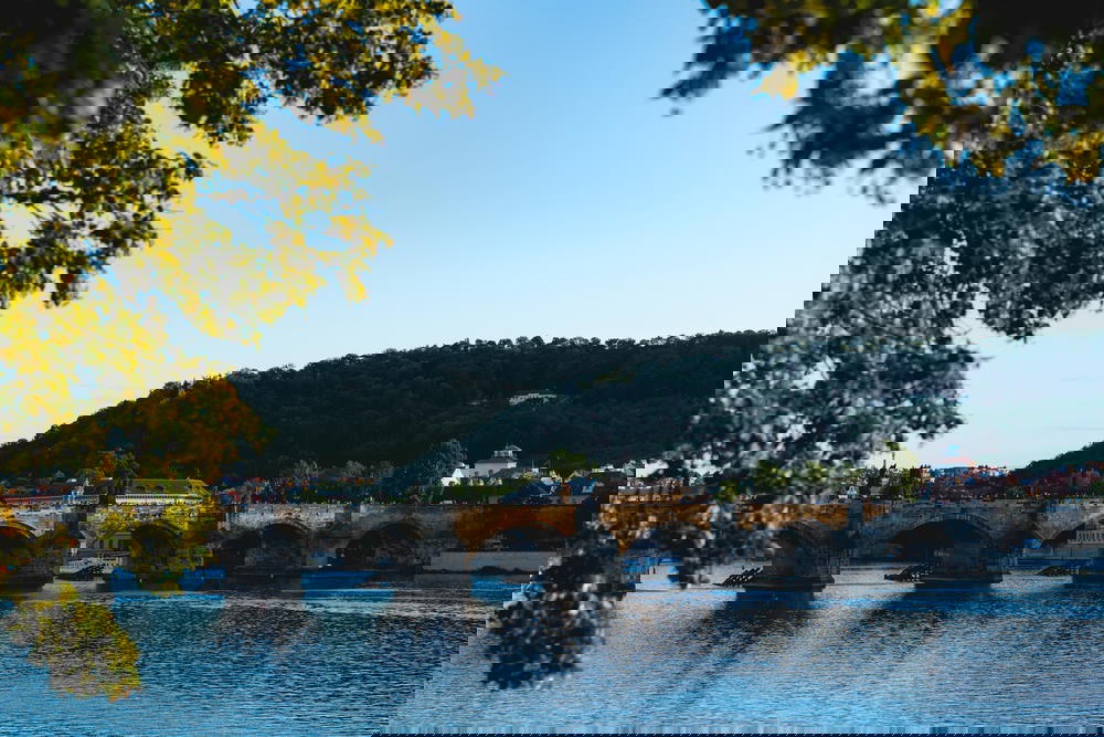 A view of the many bridges in Prague