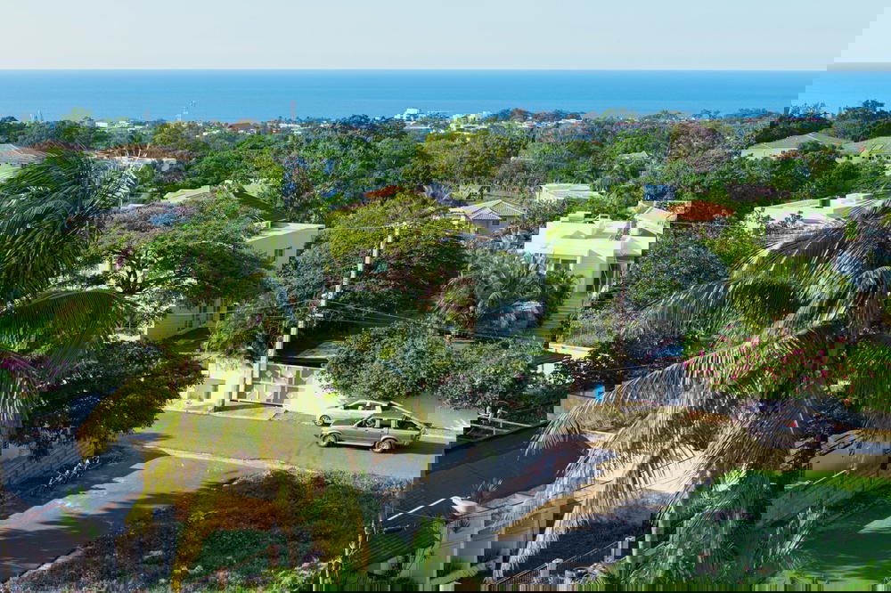 View of an upscale Dominican residential neighborhood in Sosua with a palm tree and view toward the Caribbean Sea