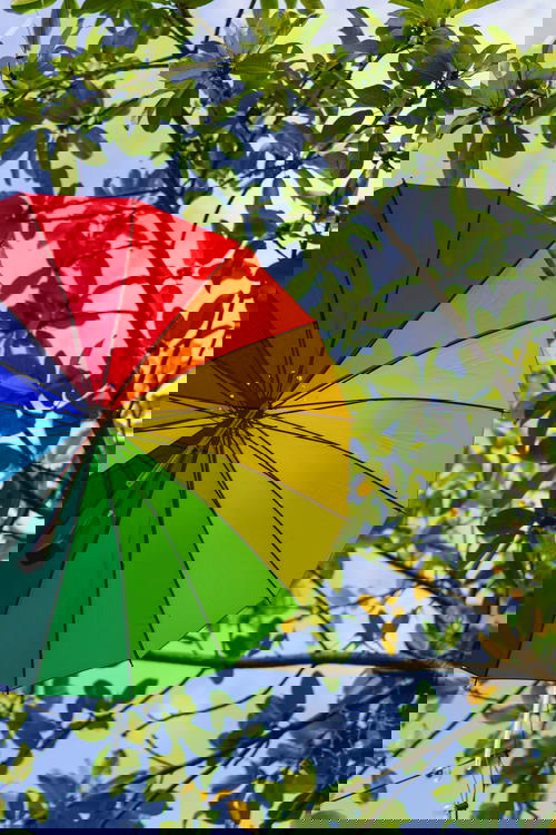 Rainbow umbrella hanging from sky at Umbrella Street Puerto Plata city Dominican Republic