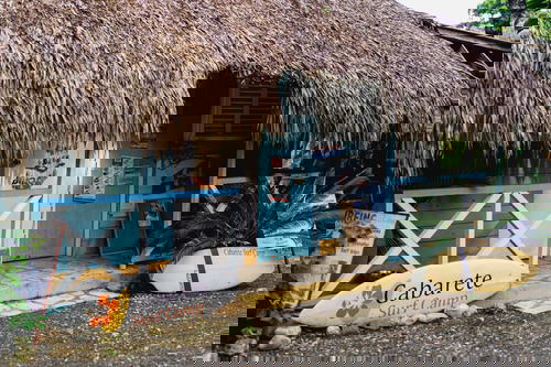 Thatched hut office with surf board and tropical plants