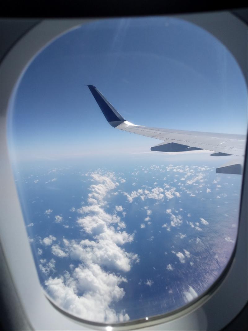 An airplane wing is seen through an airplane window.
