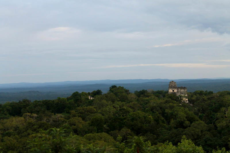 A cloudy sky is seen over a forest.