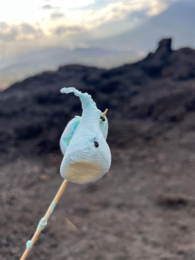 A blue meringue on a stick with a mountain in the background.