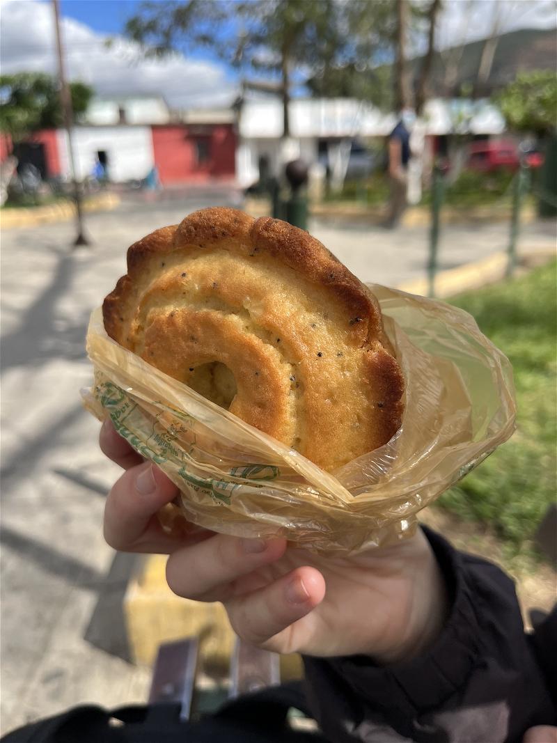 A person holding a pastry from Guatemala in a bag.