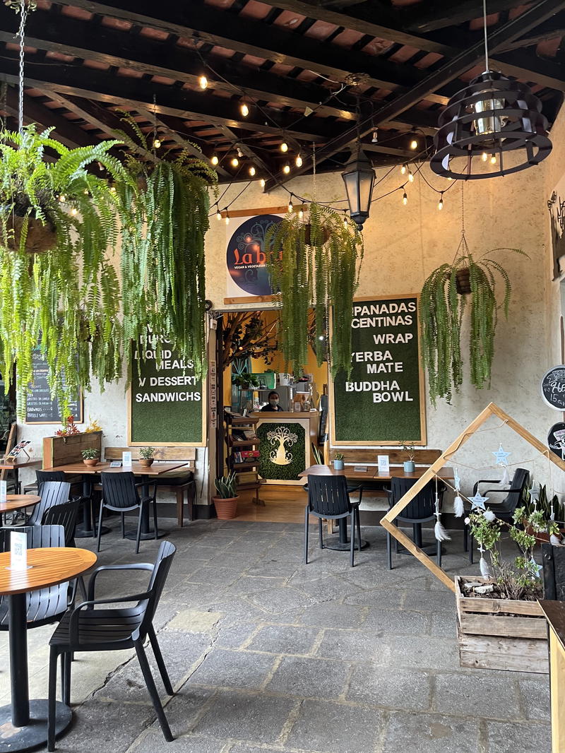 A restaurant with tables and chairs and plants hanging from the ceiling.