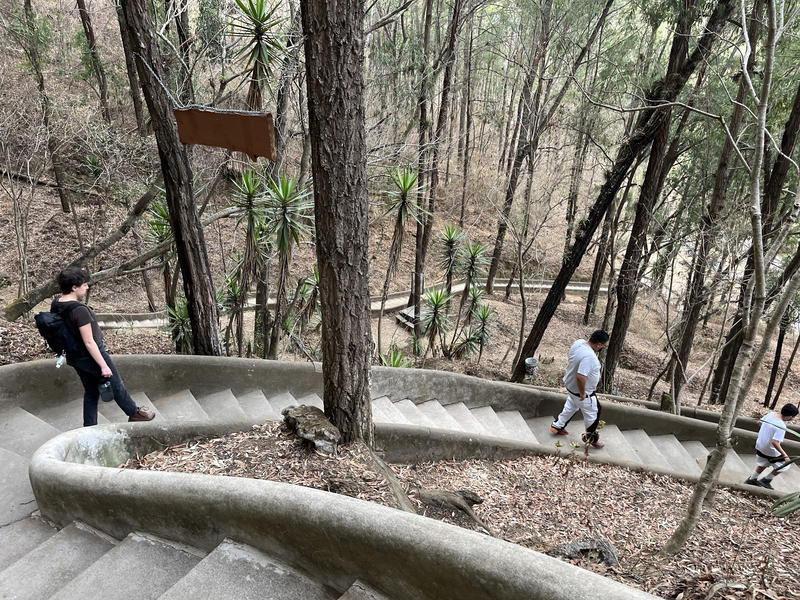 A group of people walking up a set of stairs in the woods.