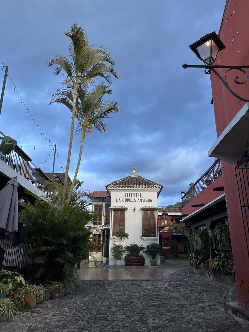 A cobblestone street with a palm tree in the background.