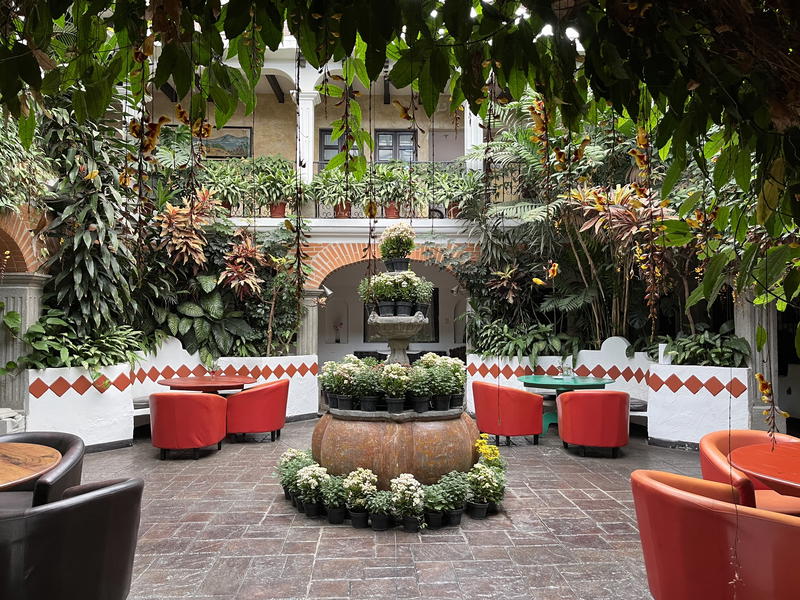 A courtyard with tables and chairs and a lot of plants.