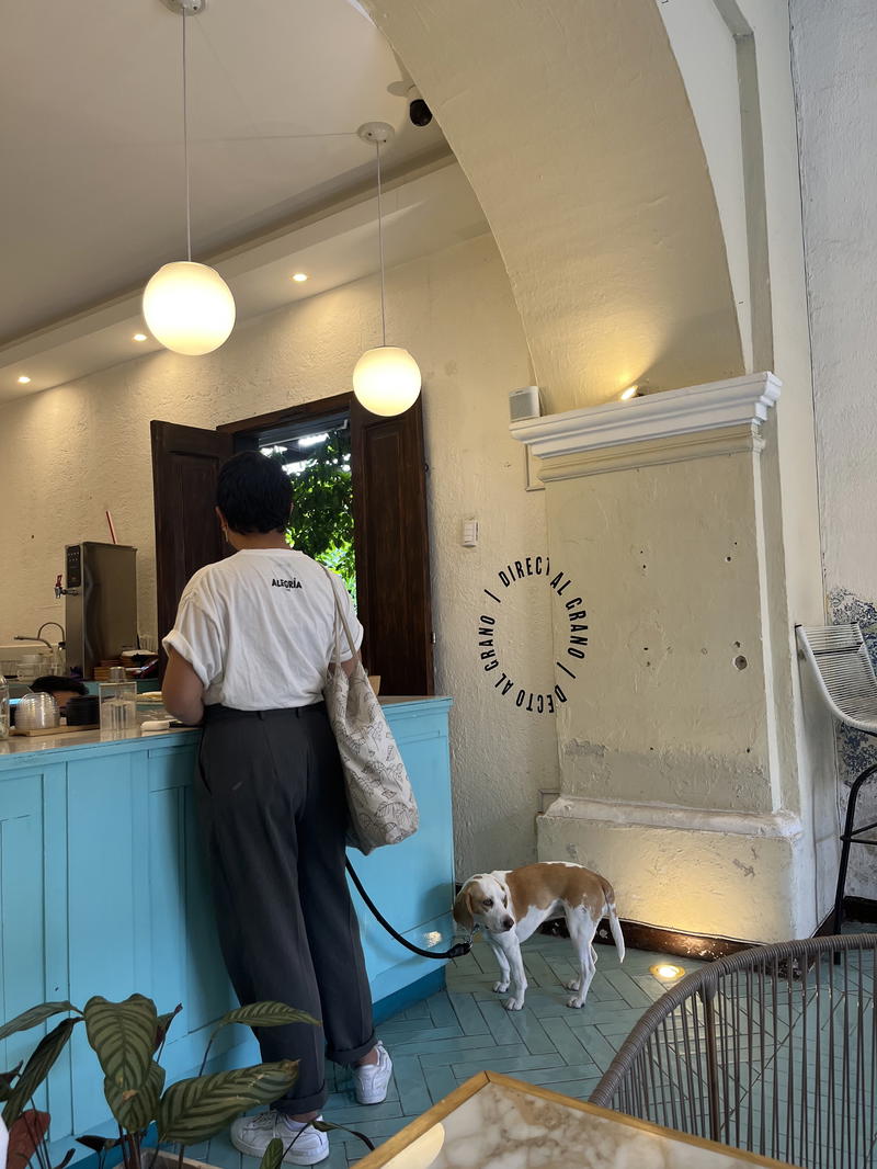 A woman, accompanied by a dog, stands in front of a coffee shop in Guatemala.