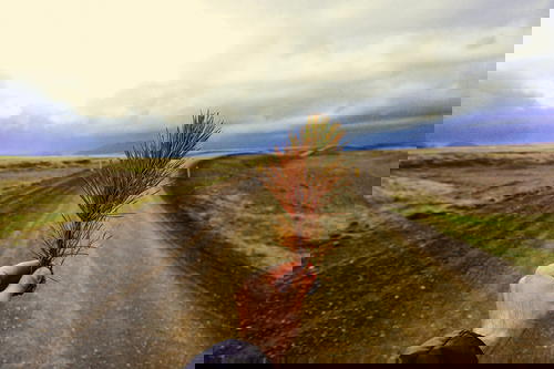 A person is holding a branch in Iceland.
