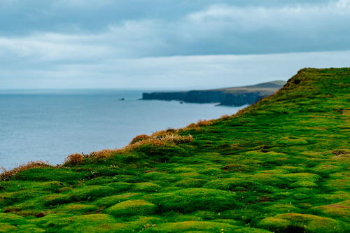 The green cliffs of Ireland grace the Wild Atlantic Way.