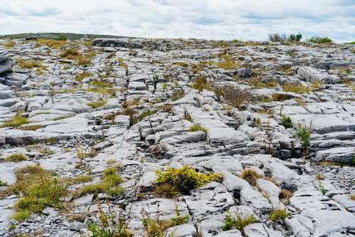 A rocky area along Ireland's Wild Atlantic Way featuring abundant rocks and grass.