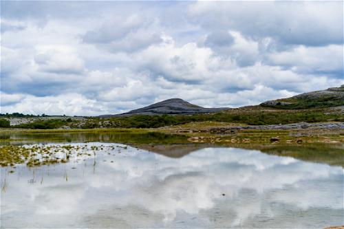 A lush pond abundant with grass, nestled along Ireland's Wild Atlantic Way.
