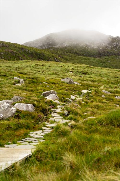 A grassy pathway along Ireland's Wild Atlantic Way.