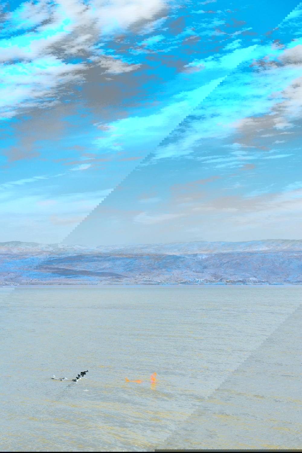 Someone swimming in the Dead Sea