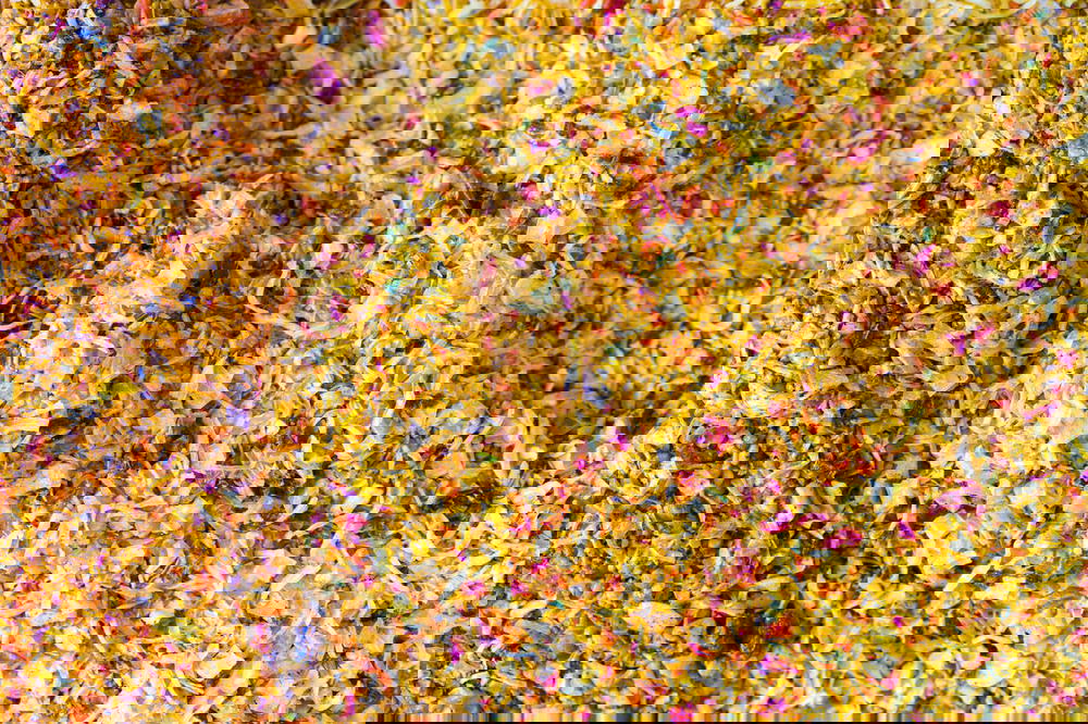 Tel Aviv fruit mixed teas shuk hacarmel carmel shuk tel aviv israel