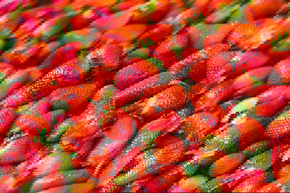 Fresh strawberries fruit for sale vendor shuk carmel tel aviv israel