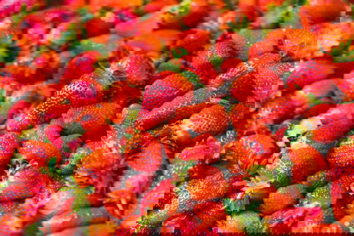 A close up of a pile of strawberries in Israel.
