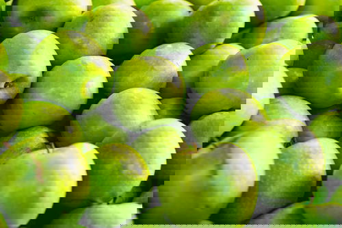 Many green apples from Israel are piled up in a pile.