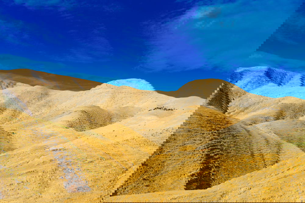 Scene of sand dunes in the israeli negev desert israel