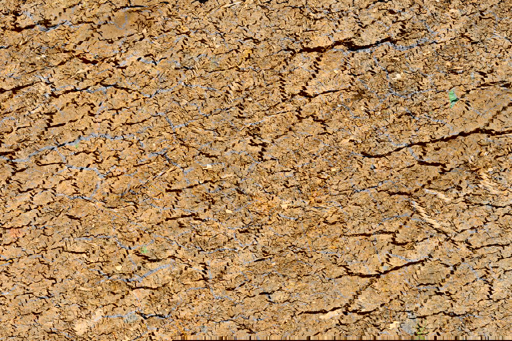 Cracked dry sand ground in jerusalem israel desert